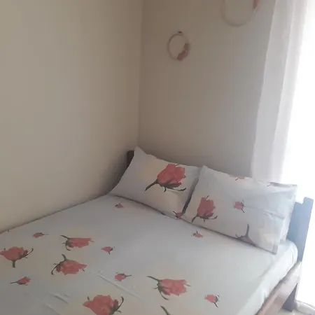 Zachos Olympiakí Aktí